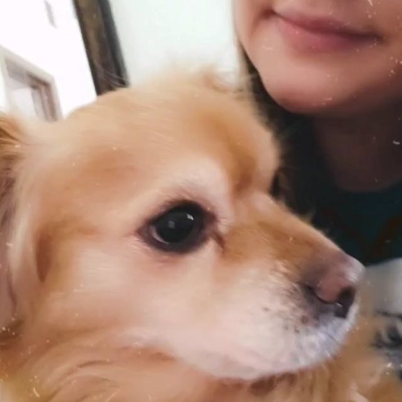 missmichebella